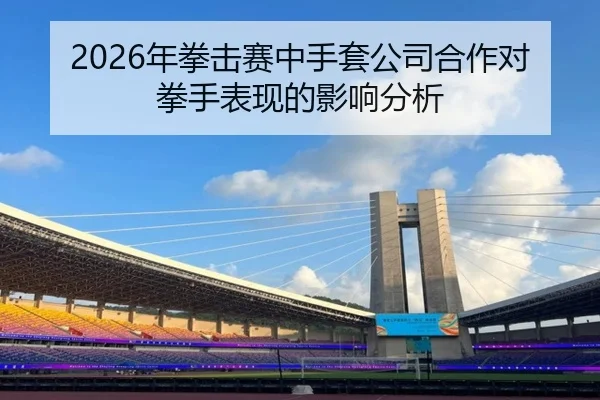 2026年拳击赛中手套公司合作对拳手表现的影响分析
