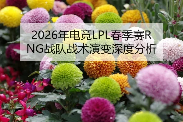 2026年电竞LPL春季赛RNG战队战术演变深度分析