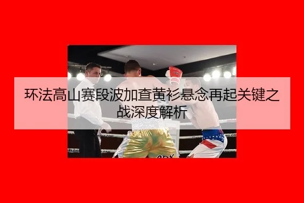 环法高山赛段波加查黄衫悬念再起关键之战深度解析
