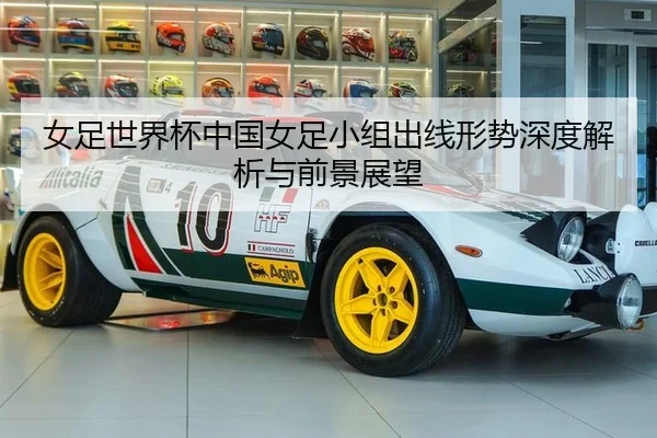 nv-zu-shi-jie-bei-zhong-guo-nv-zu-xiao-zu-chu-xian-xing-shi-shen-du-jie-xi-yu-qian-jing-zhan-wang-2-431.jpg