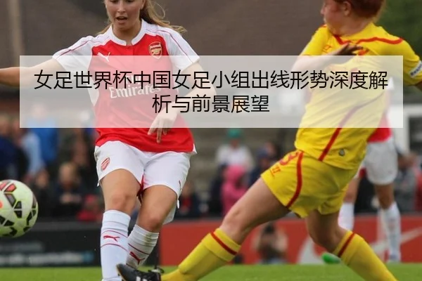 nv-zu-shi-jie-bei-zhong-guo-nv-zu-xiao-zu-chu-xian-xing-shi-shen-du-jie-xi-yu-qian-jing-zhan-wang-3-737.jpg