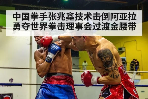 中国拳手张兆鑫技术击倒阿亚拉勇夺世界拳击理事会过渡金腰带